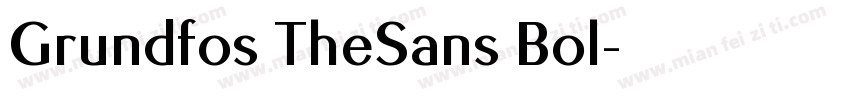 Grundfos TheSans Bol字体转换